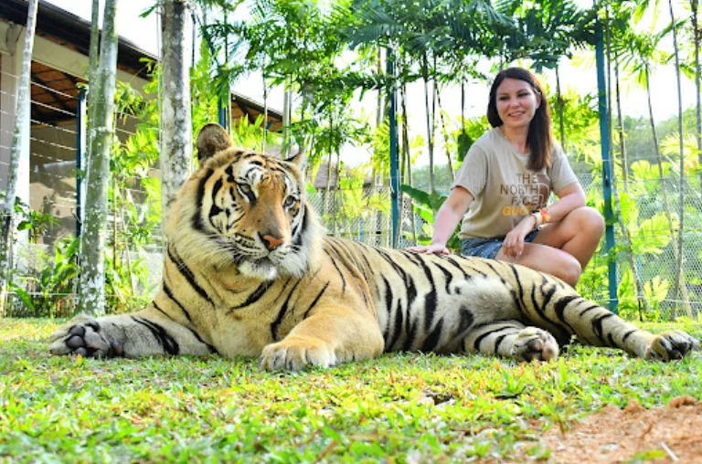 thailand dos and dont’s